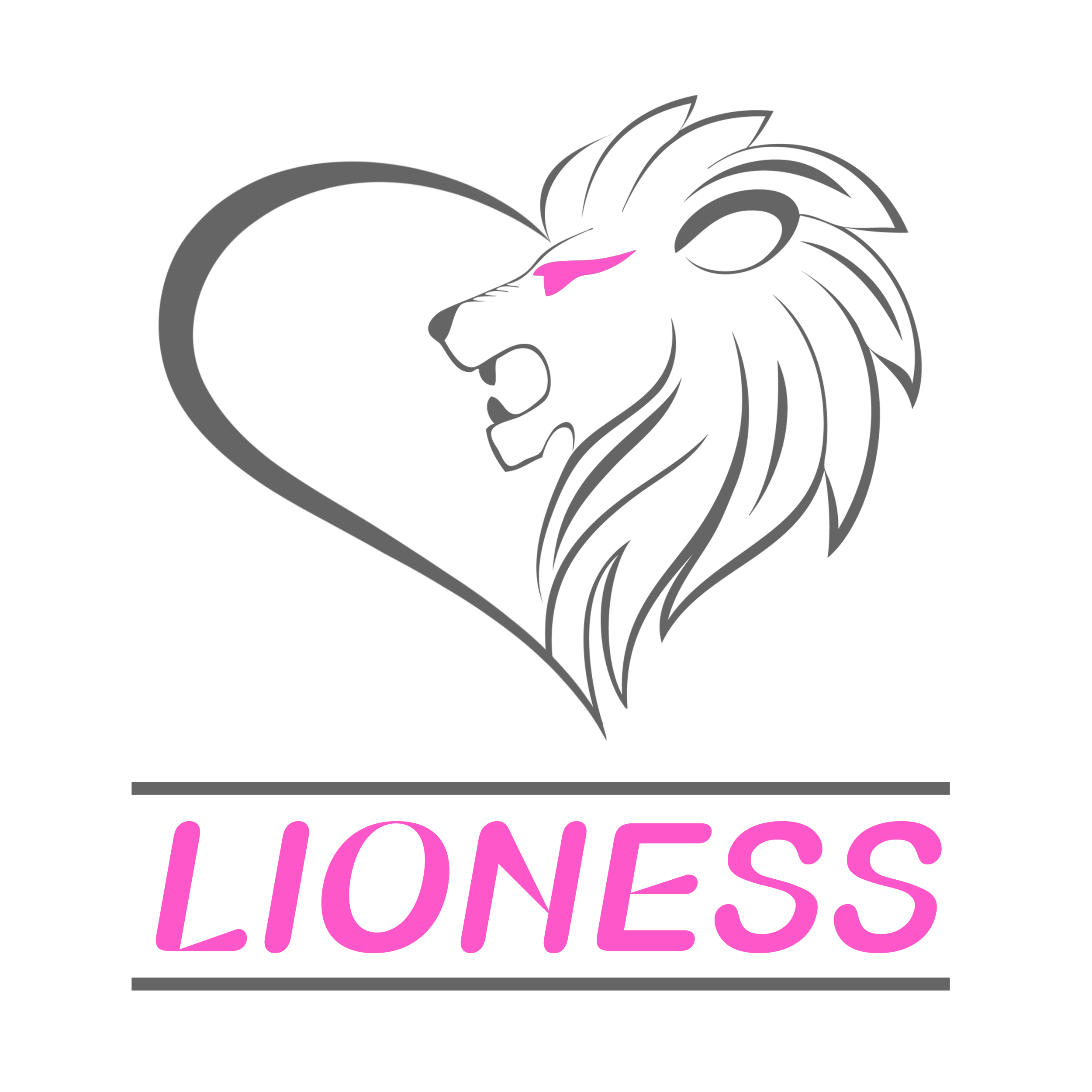 Lioness Bootcamp